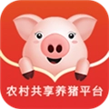 猪儿妞妞手机版