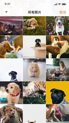 萌邦宠物官方版图4