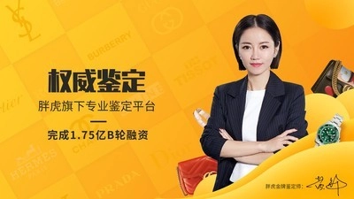 奢侈品鉴定最新版图1