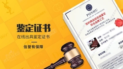 奢侈品鉴定最新版图2