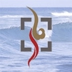 云游兴城安卓版