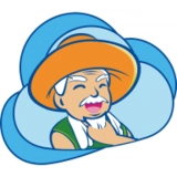 云村长有车不闲正版