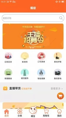 橘椒官方正版