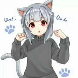 冷狐宝盒