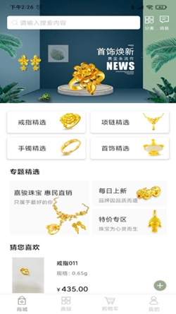 嘉骏珠宝原版图1
