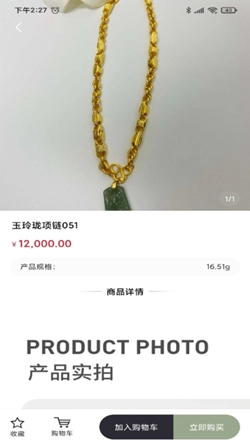 嘉骏珠宝原版图3