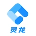 灵龙原版