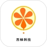 西柚科技通用版