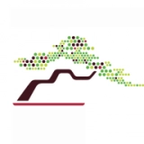 韵盆景免费原版