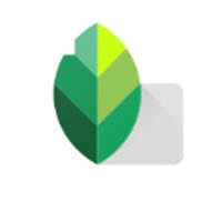 snapseed修图软件官方最新版