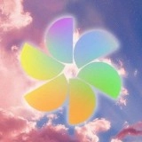 熊猫壁纸大全官方正版