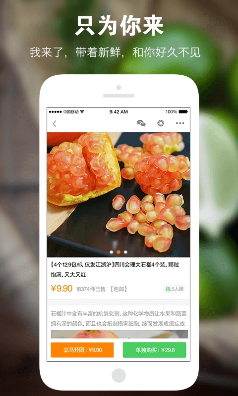 寻食者说官方正版图1