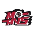 模次元无广告版