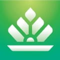 智云优选原版