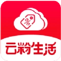 云粉生涯