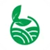 徽食原版
