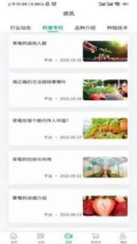 泉水草莓安卓直装版图1