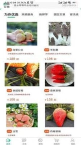 泉水草莓安卓直装版图2