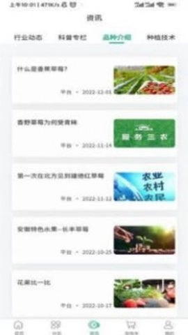 泉水草莓安卓直装版图3