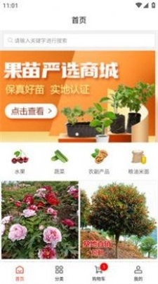 辰阳商城最新版