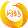 网鹊买菜免费原版