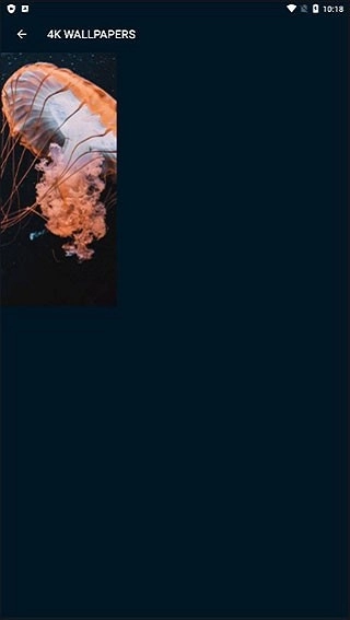 4K Wallpapers免费原版图1