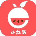 小红果手机正版
