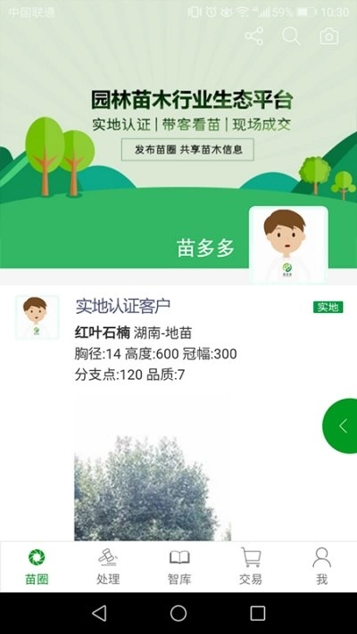 苗多多最新版图3