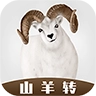 山羊转无广告版