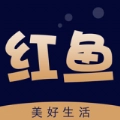 红鱼生活手机正版