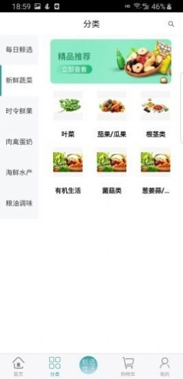 极家鲸选直装版图2