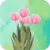 天天换壁纸最新免费版