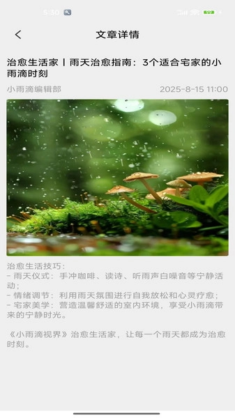 小雨滴视界通用版