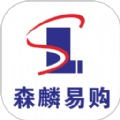 森麟易购安卓直装版