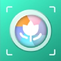 万物识图官方版