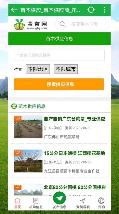 金苗网原版图3
