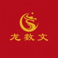龙数文官方正版