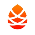 松子中医手机版