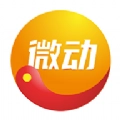 微微动直装版