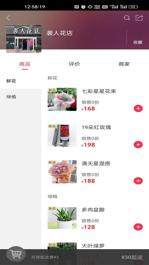 小白杨1