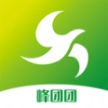 峰团团安卓直装版