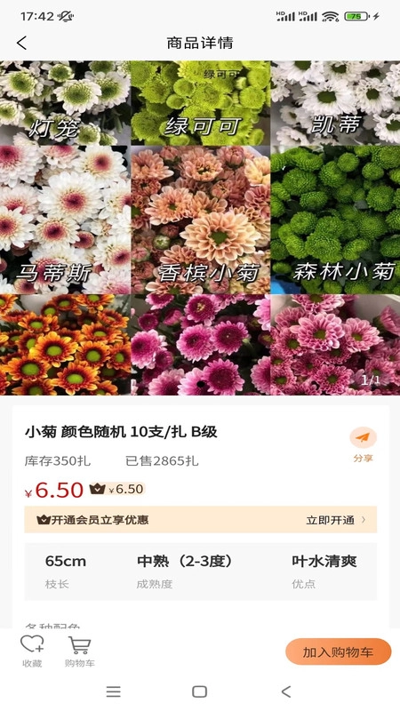 卖花人安卓免费版图1