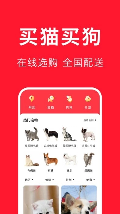 宠物宝最新版图1