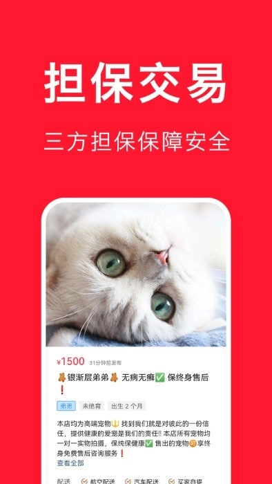 宠物宝最新版图2