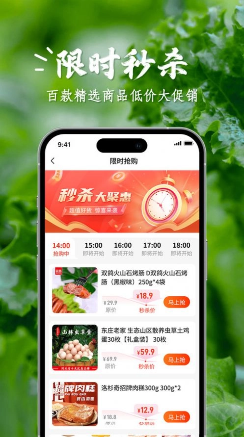 乡农商城原版图1