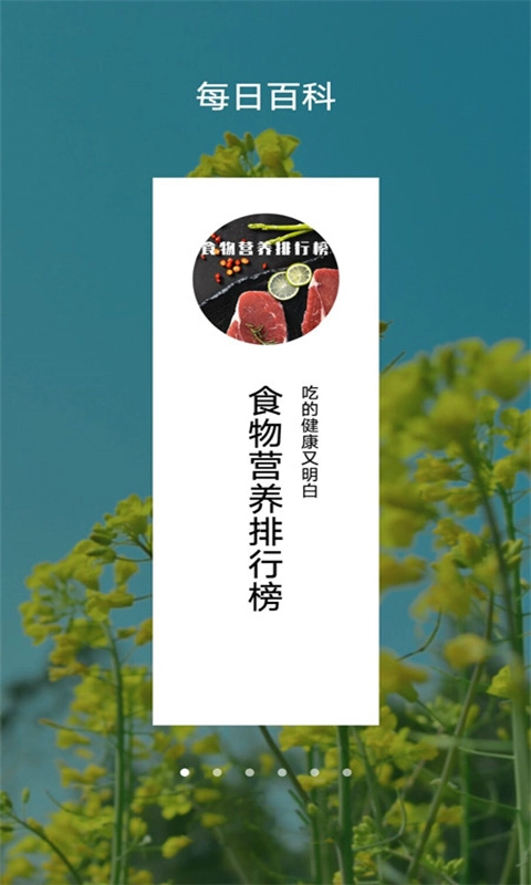 每日博物馆手机免费版