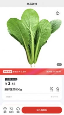 随团官方正版图2