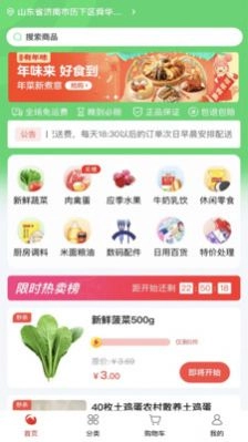 随团官方正版图3