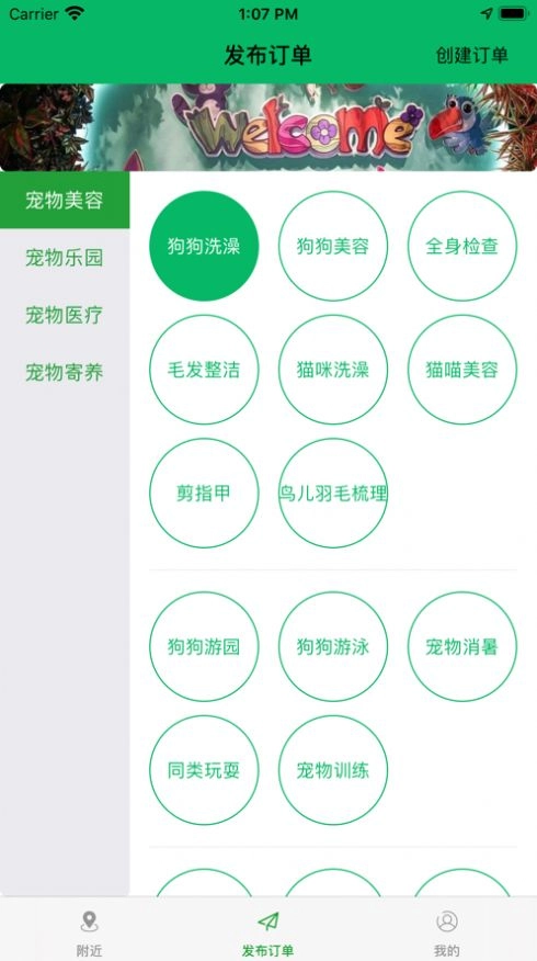 宠物周边原版