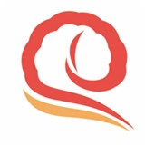 爱荔知手机版